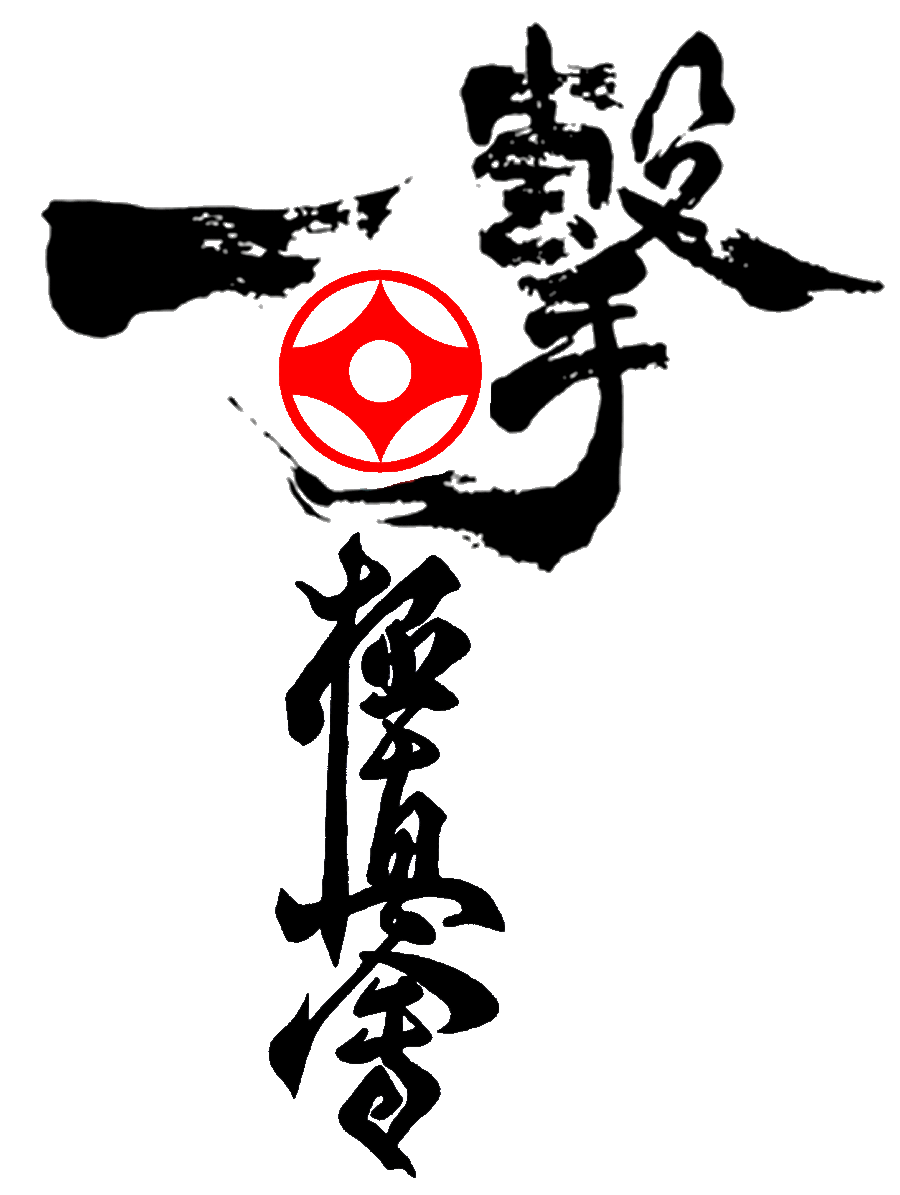 Programa Técnico 8º-7ºKyu