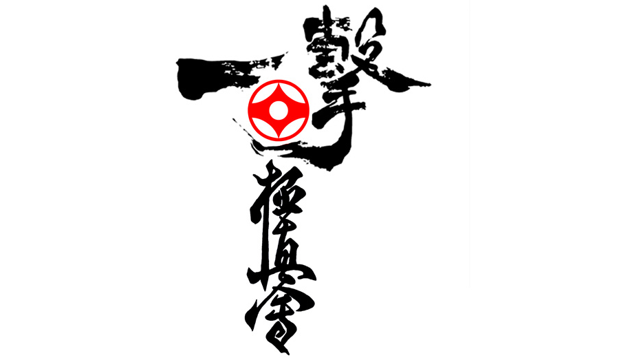 Programa Técnico 1º-4ºDan